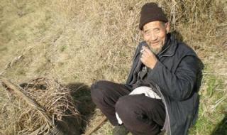 为你留下最后一滴泪